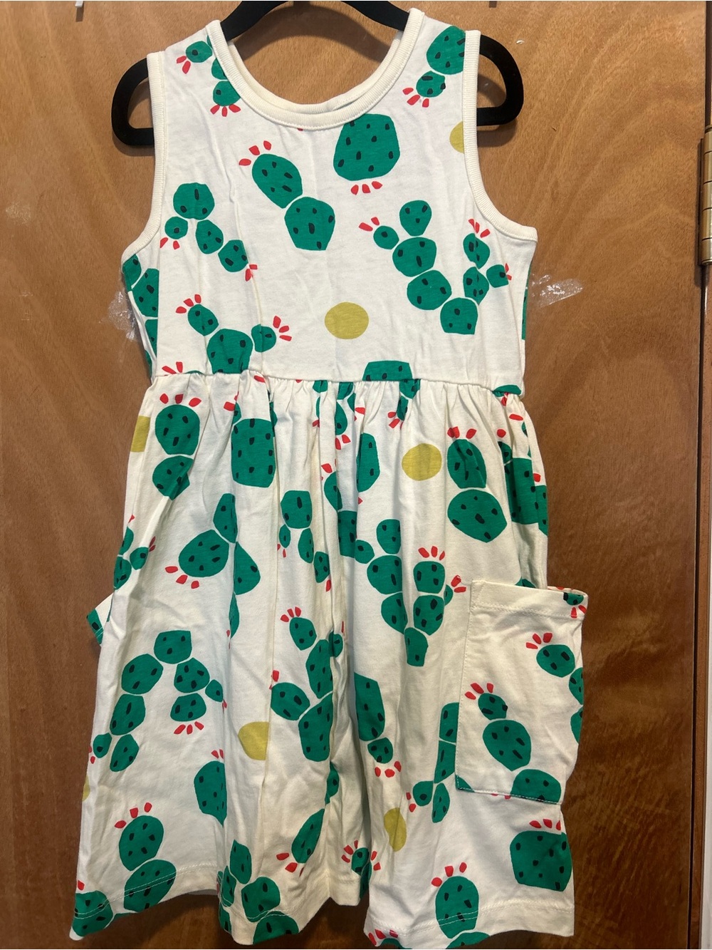 Hanna Andersson Cream Dress with Green Cactus Print and Red Accents